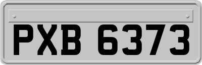 PXB6373