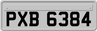 PXB6384