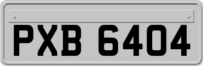 PXB6404