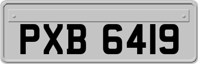 PXB6419