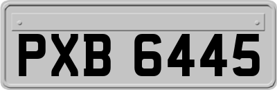 PXB6445