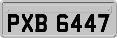 PXB6447