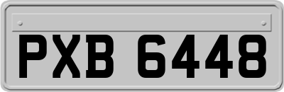 PXB6448