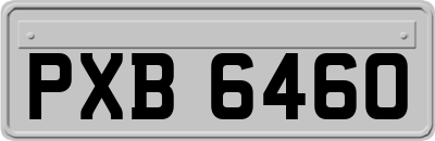 PXB6460