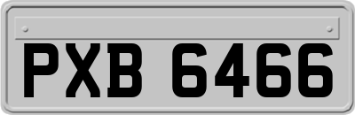 PXB6466