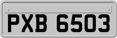 PXB6503