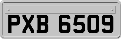 PXB6509