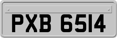 PXB6514