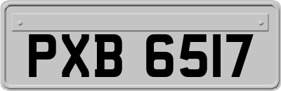 PXB6517