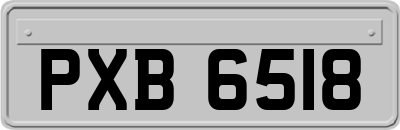 PXB6518