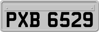 PXB6529