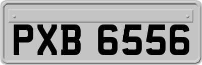 PXB6556