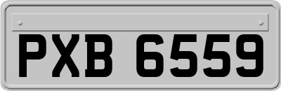 PXB6559