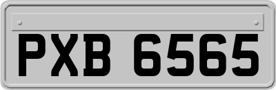 PXB6565