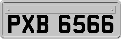 PXB6566