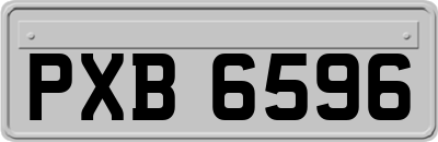 PXB6596