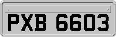 PXB6603