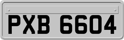 PXB6604