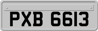 PXB6613