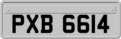 PXB6614