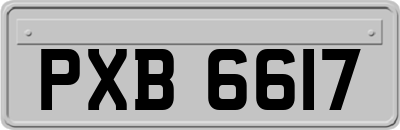 PXB6617