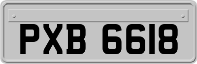 PXB6618