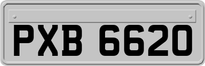 PXB6620