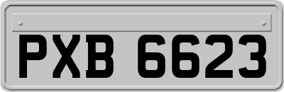 PXB6623