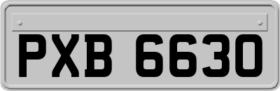 PXB6630