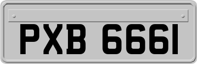 PXB6661