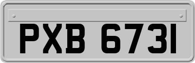 PXB6731