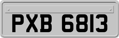 PXB6813