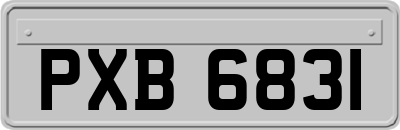 PXB6831