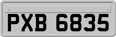 PXB6835