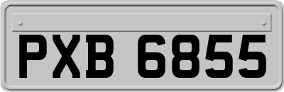 PXB6855