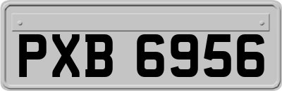 PXB6956