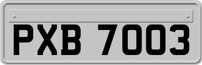 PXB7003