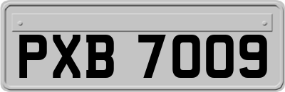 PXB7009