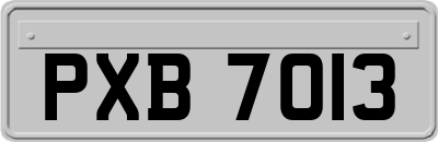 PXB7013