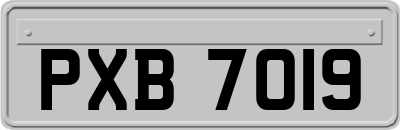 PXB7019