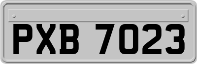 PXB7023