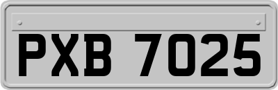 PXB7025