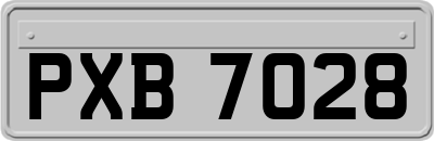 PXB7028