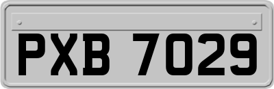 PXB7029