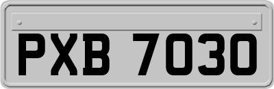 PXB7030