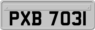 PXB7031