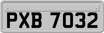 PXB7032