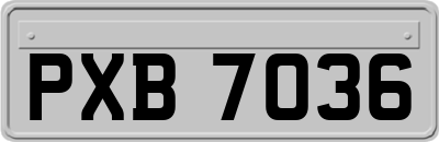 PXB7036