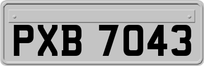 PXB7043