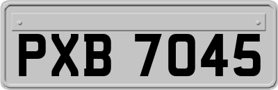 PXB7045